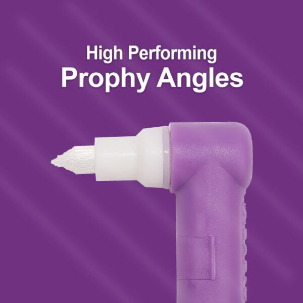 ProAngle Plus Prophy Angle with Tapered Brush 100/Bx. Latex-Free - Image 3